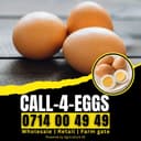 Diani Eggs Depot's website